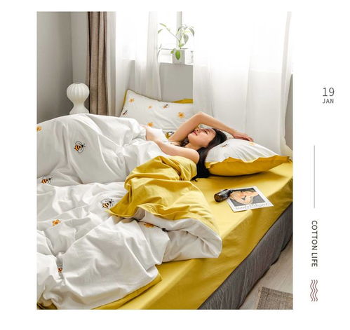 逸轩全棉水洗棉四件套 春秋舒适，夏季清凉的床上佳品