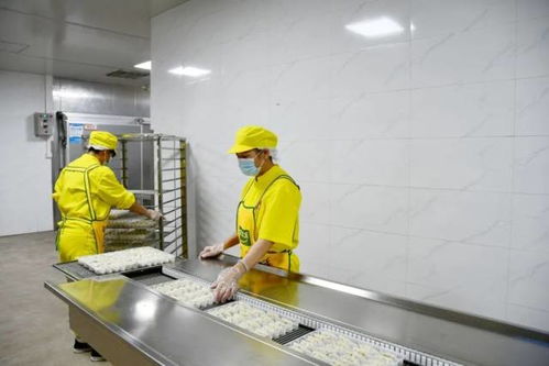 高标准 高收成 肇庆农产品有一套 从农田到市场的品质密码